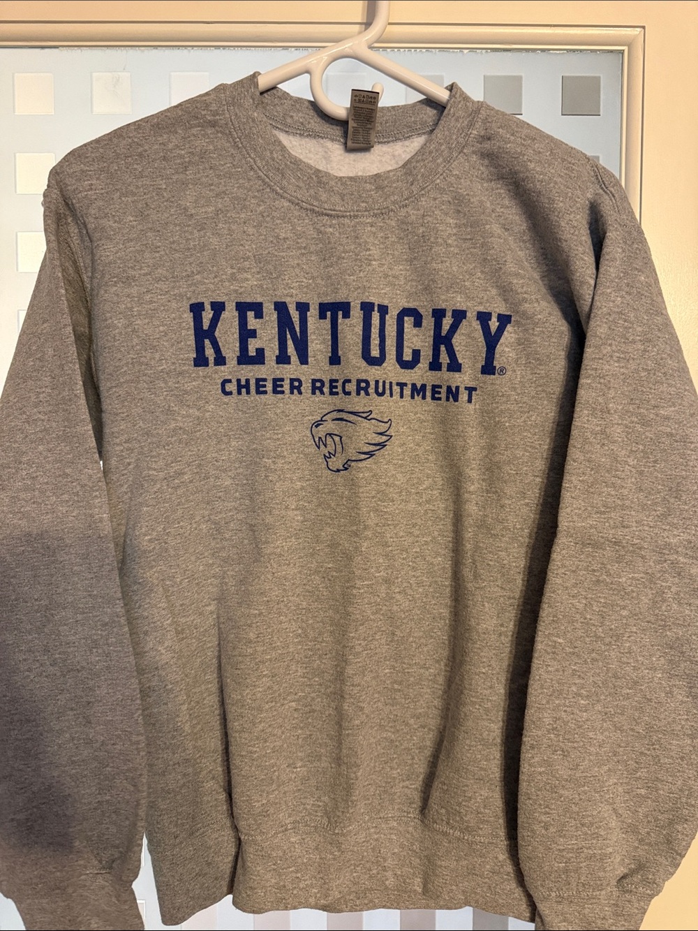 Gildan Gray Sweatshirt with Blue Kentucky Print